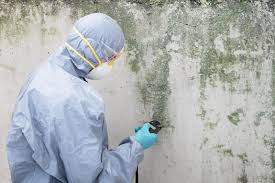 Mold Removal for HVAC Installations in Waynesville, MO